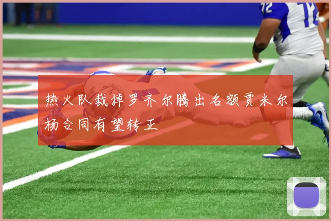热火队裁掉罗齐尔腾出名额贾米尔杨合同有望转正